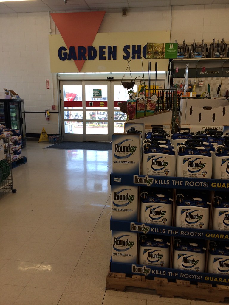 Kmart Macon Road Columbus, GA 7 Mike Kalasnik Flickr