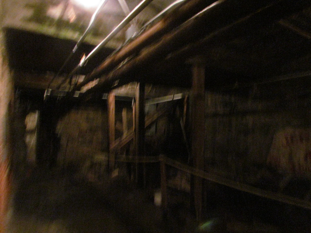 IMG_8577 Bill Speidel’s Underground Tour Andy Nystrom Flickr