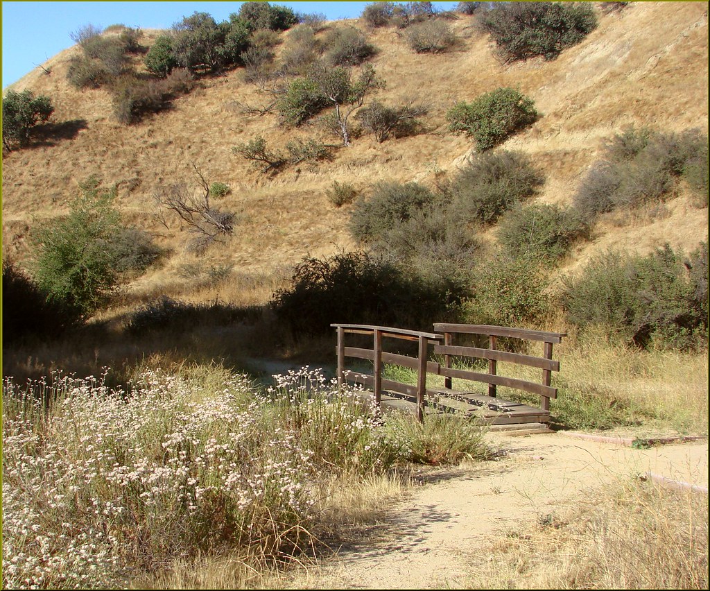 Bridge, Oakmont Park 61613 (1 in a multiple picture set)… Flickr