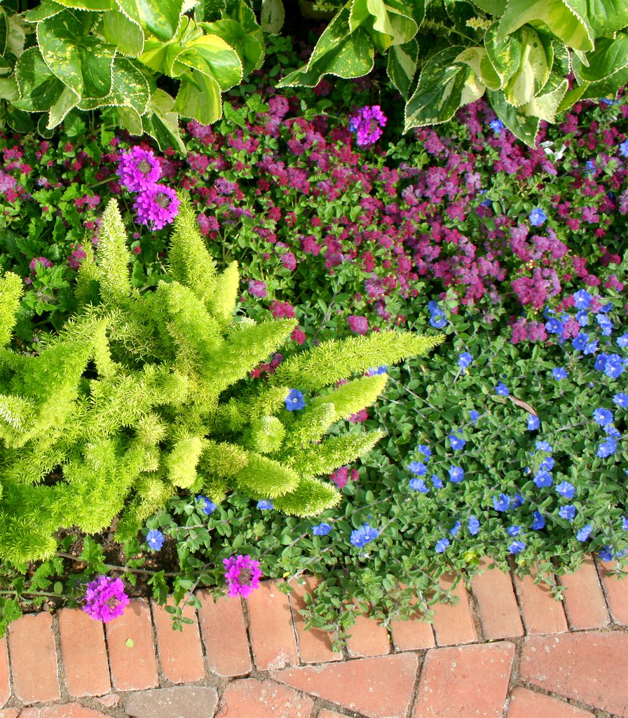 Plants edging a path The Chicago Botanic Garden petalpower Flickr