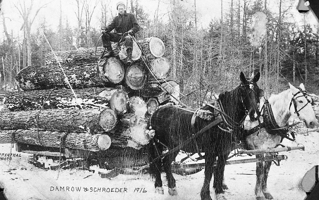 Damrow and Schroeder 1916 History of Wabeno Wisconsin Flickr