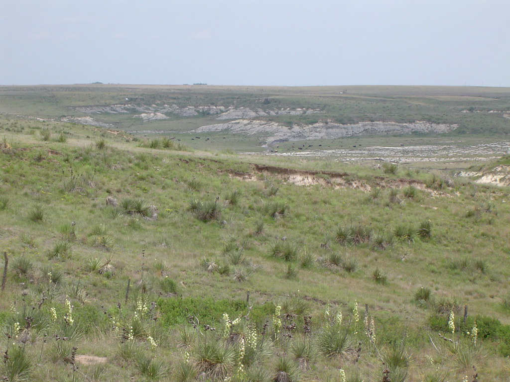 West Kansas State USA Happy Expat Flickr
