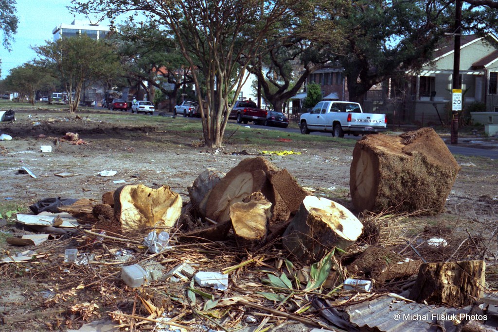 Napoleon Avenue, New Orleans Napoleon Avenue Michal Flisiuk Flickr