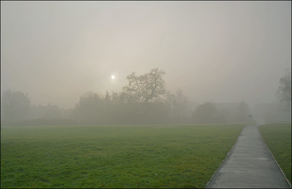 Aberford Park 11.12.13 Foggy Day Tanya Kostina Flickr