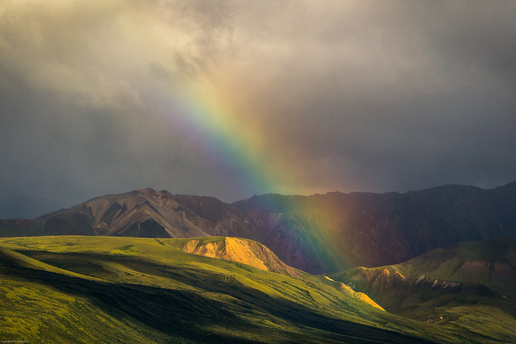 A Blast of Rainbow Jay Berkow Flickr