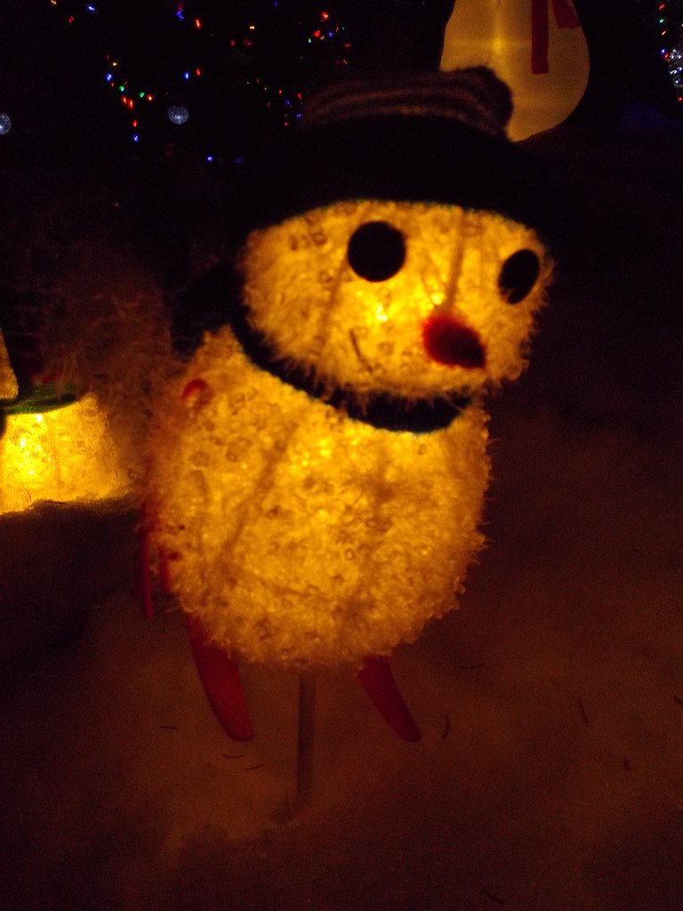 Candy Cane Lane 2013 (11) Mike Friel Flickr