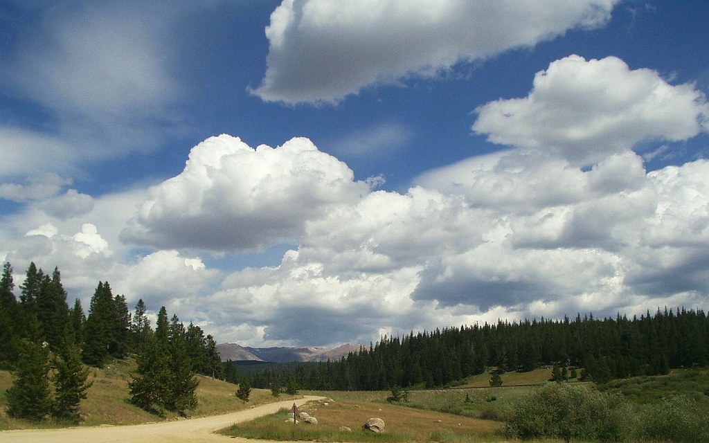 Summer Sky The forest near Meadowlark Lake in the Bighorn … Flickr