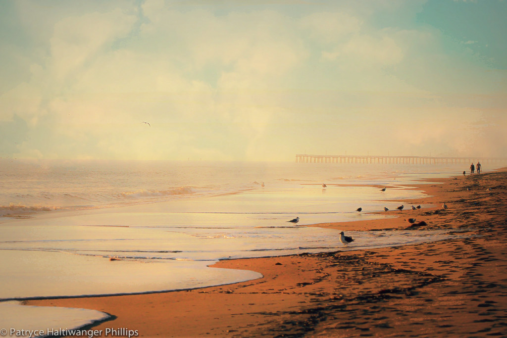 Elevation of Alanton, Virginia Beach, VA, USA Topographic Map Altitude Map