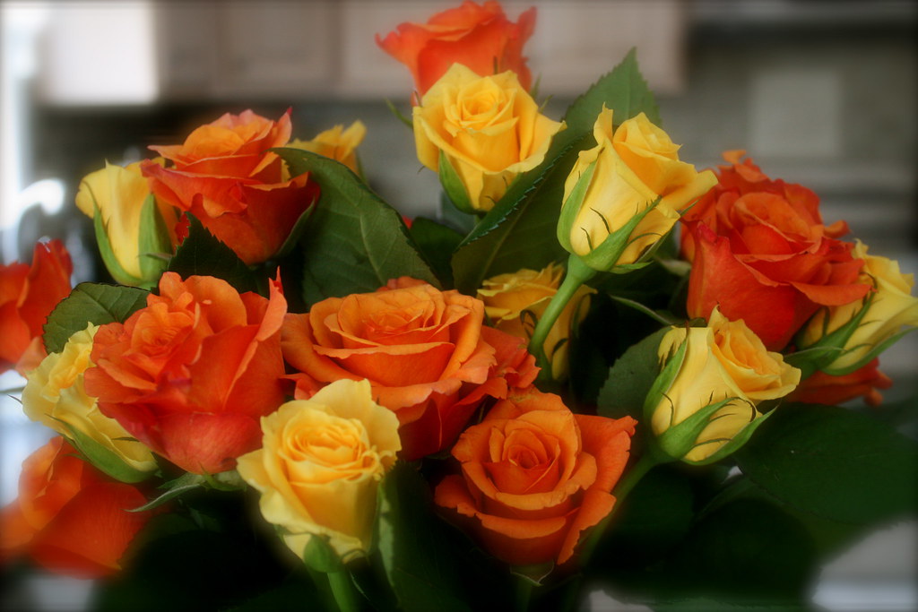 Beautiful Roses From Jason Tomorrow is my th birthday an… Flickr
