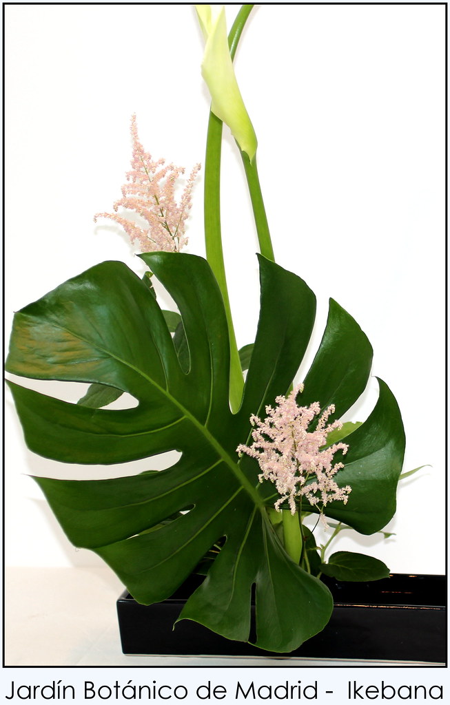 Ikebana muestras de ikebana en el Jardín Botánico de Madri… Flickr