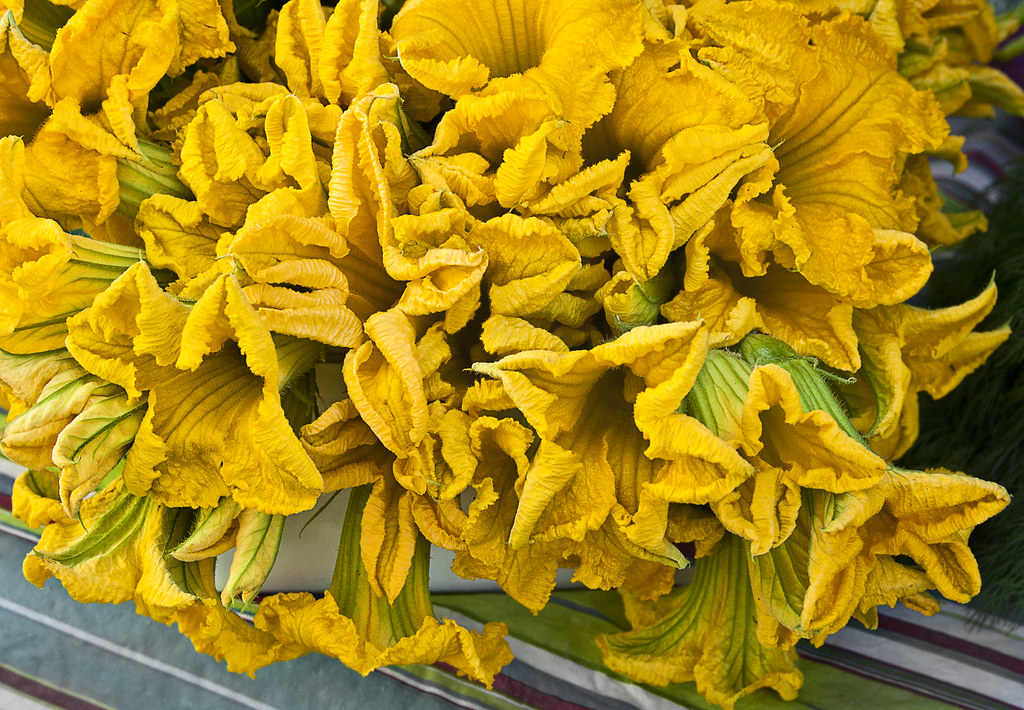 squash blossoms Seen at the West Acton Farmer's Market liz west