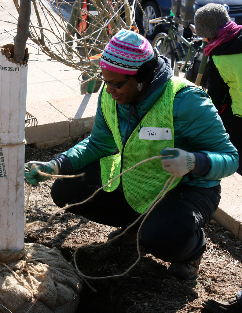 20140301 Marie Reed Center Casey Trees Flickr