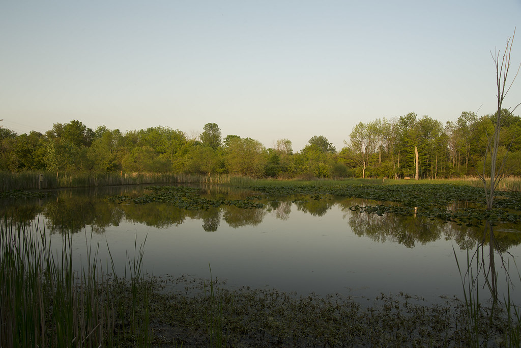 River Road Park River Rd. Park Madison, Ohio Canon 6D Tamr… Flickr
