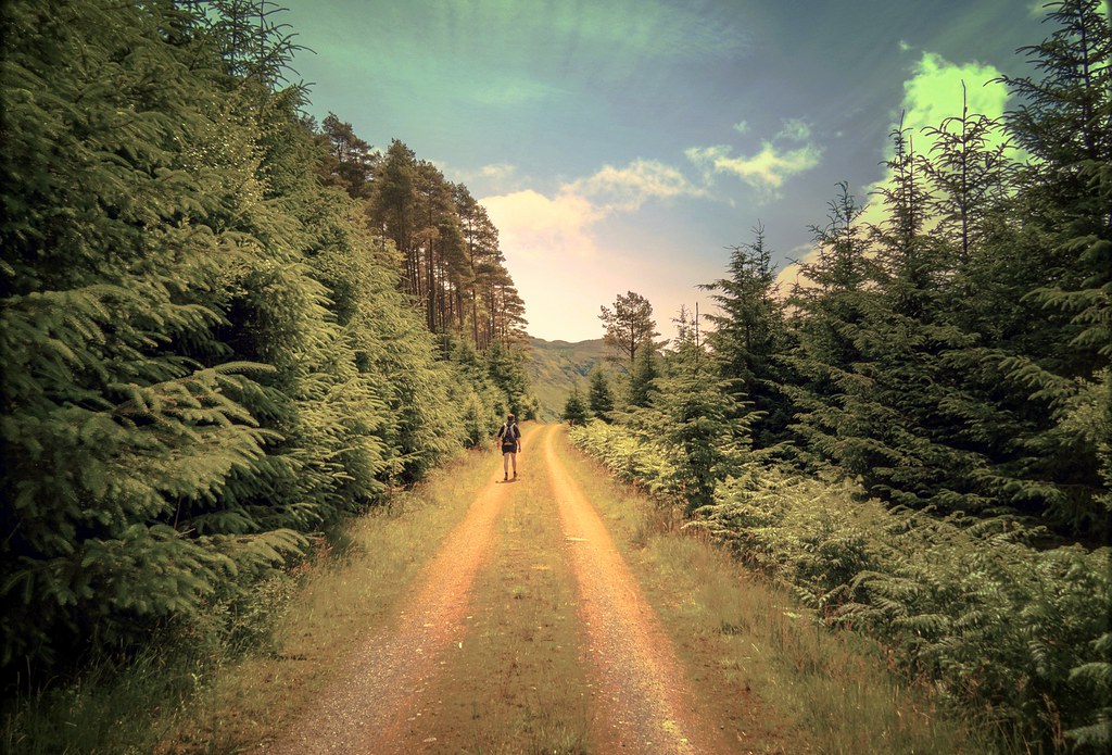Elevation of Ardbeg, Isle of Bute PA20, UK Topographic Map Altitude Map