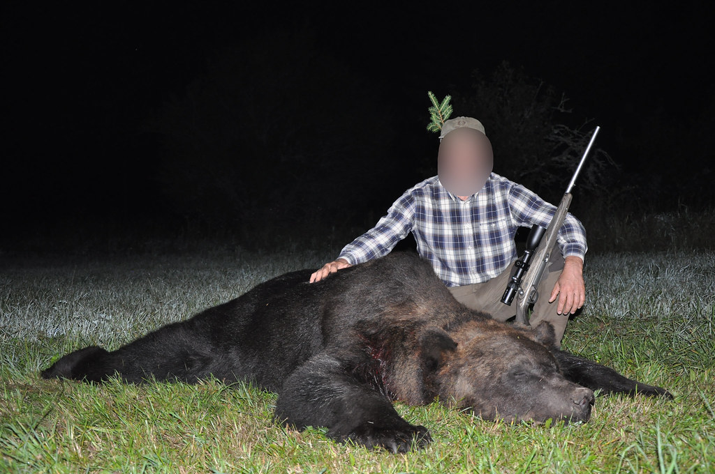 Bear Hunt in Estonia, Come Hunt Bear and live an experience