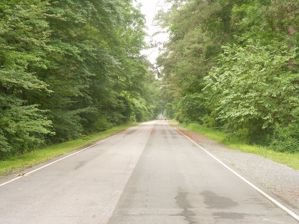 Dismal Swamp Canal Trail; Chesapeake VA; 6/22, 2013 Flickr