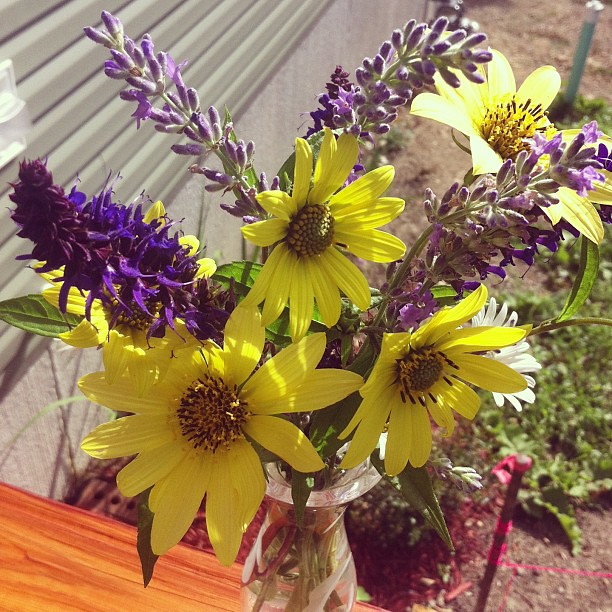 Fresh flowers from around the house how I've missed this… Flickr
