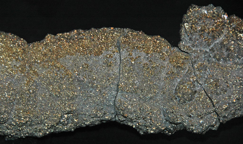 Pyrite concretion (tributary of Waugh Run, Ross County, Oh… Flickr