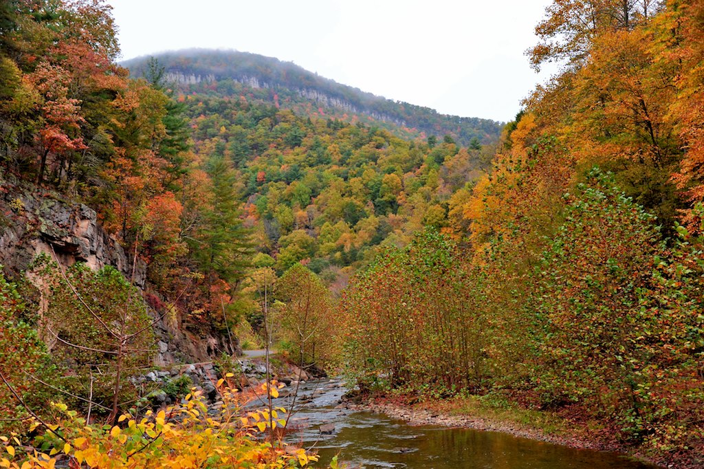 South Branch of the Potomac River, West Virginia One of th… Flickr