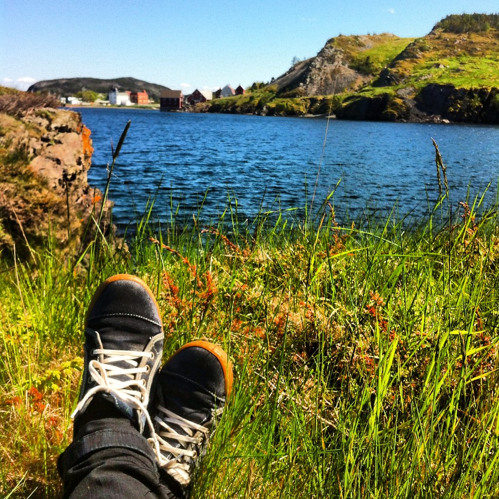 Tavener's Point / Gun Hill Trail Hiking Trails in Trinity Flickr