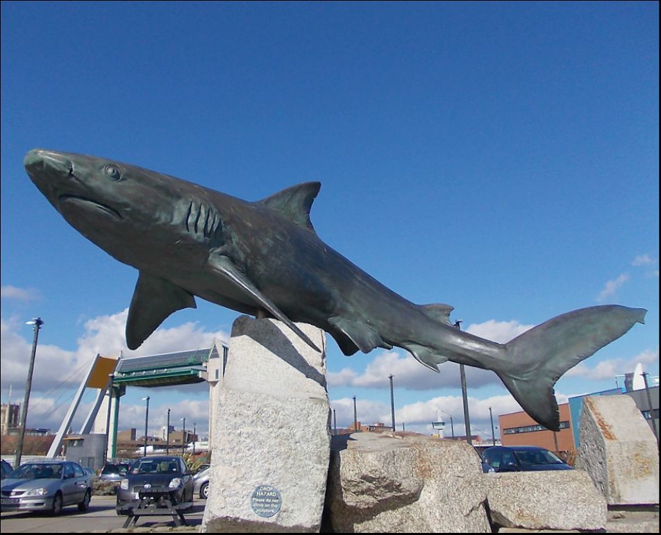 Visitor Attraction .. Is this sculpture of a Shark outside… Flickr