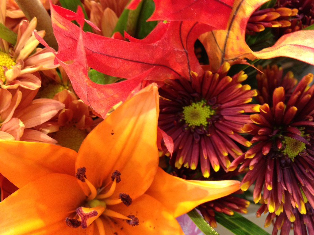 Flowers by Patty Vicknair a photo on Flickriver