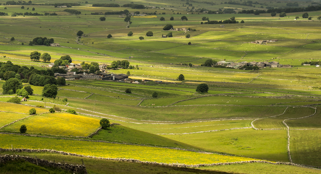 "Fields of Gold" Wardlow Mires Farm from the slopes of Lon… Flickr