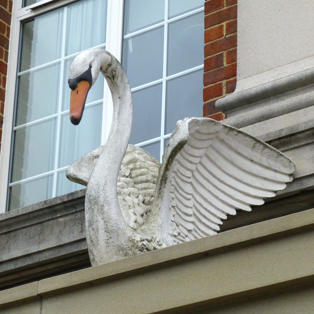 Swan on the Travelodge, Leatherhead, Surrey Detail of the … Flickr