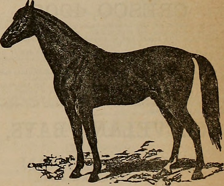 Field Interviewer Jobs Louisiana