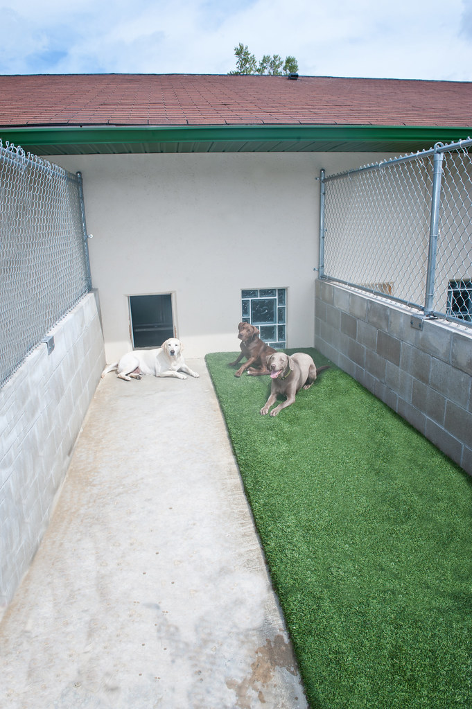 DSC_9706b ZVilleZionsville Country Kenneldog suites by … Flickr