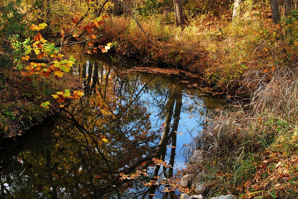 Waterloo Lake Park Denison Texas 1 Max and Karánn Flickr