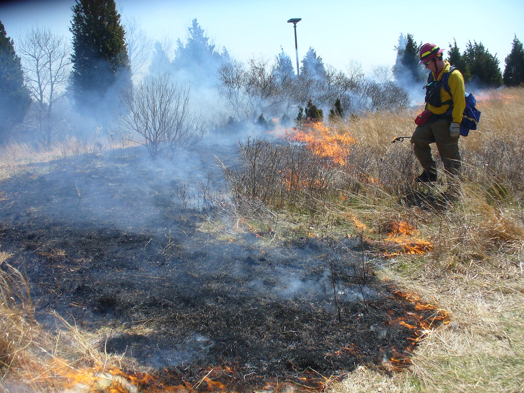 Prescribed burn at Conscience Point Refuge staff conductin… Flickr