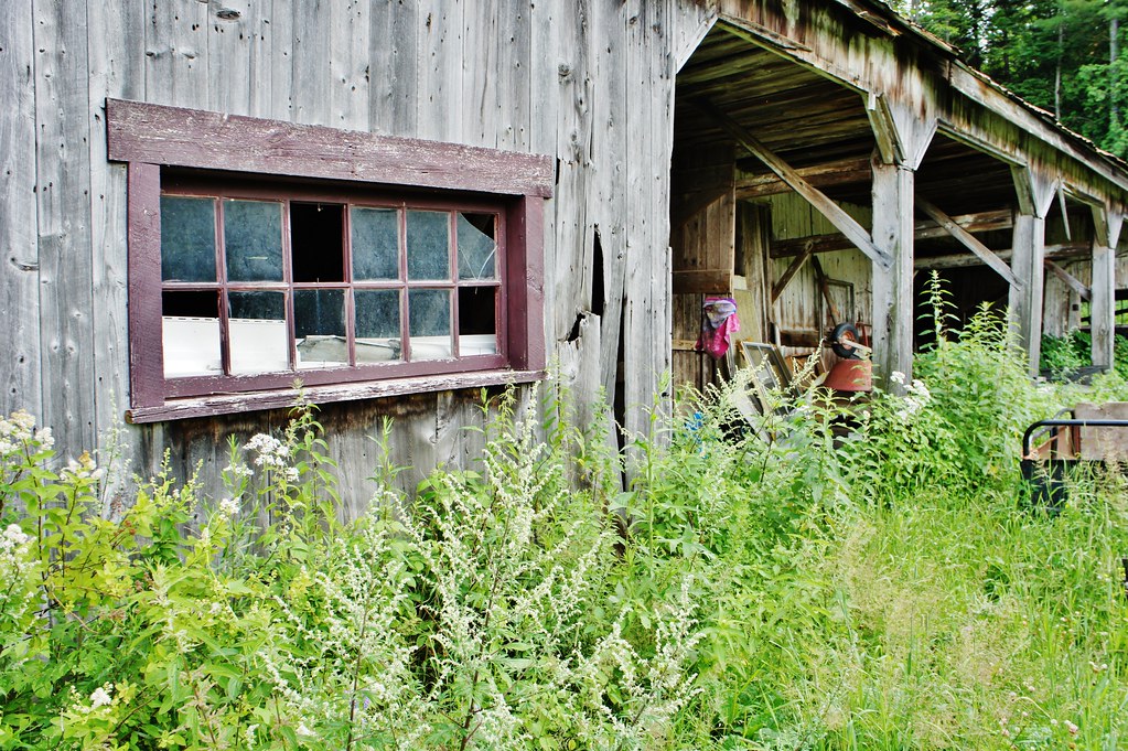 StLin Laurentides ferme permaculture Julie Aubé Flickr