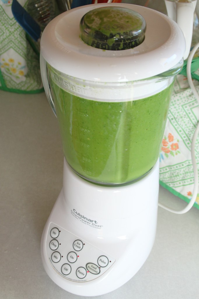 green smoothie in the blender Stacy Spensley Flickr