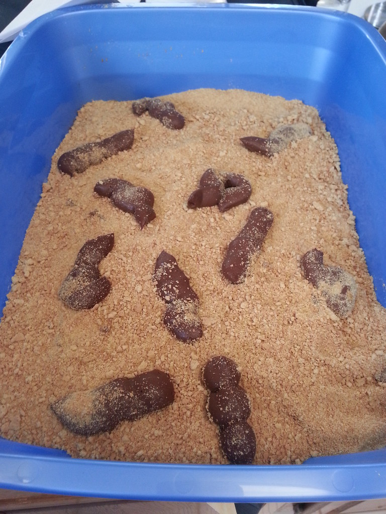 litter box cake Litter box cake for Lanie! Chocolate cake … Flickr
