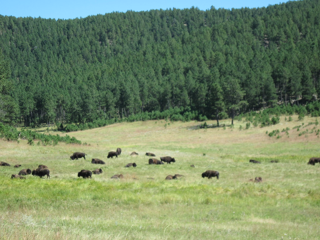 2010 2 Thayne WY to Rapid City SD Flickr
