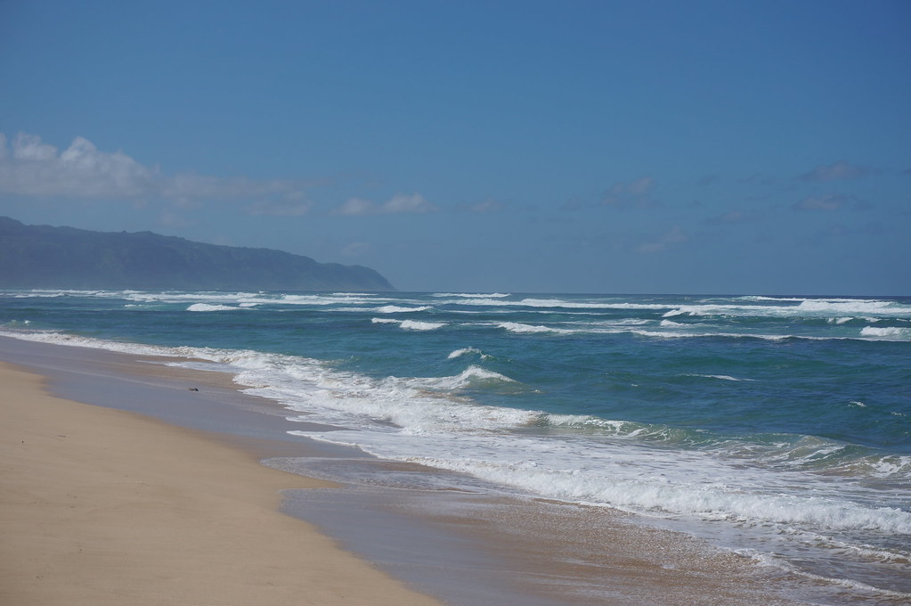 Turtle Beach (Laniakea Beach), Oahu, Hawaii Turtle Beach