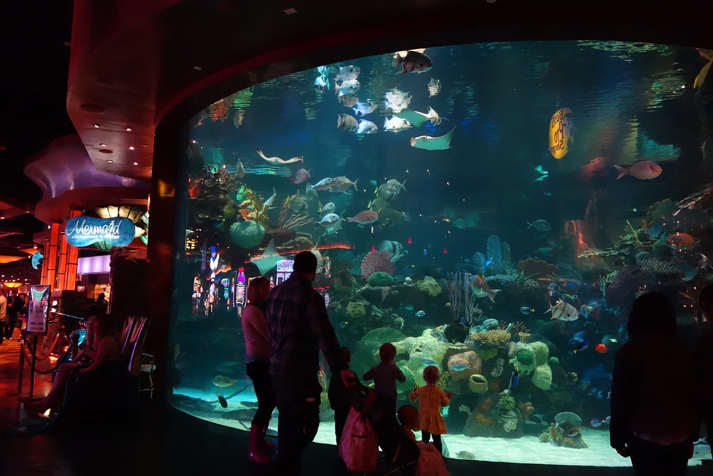 The Aquarium at the Silverton Casino Lodge Southwest, Las