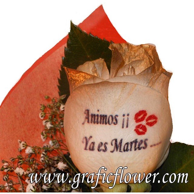 Imagenes Con Frases Fotos Y Gifs Animados Desear Un Feliz