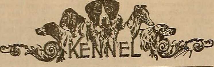 Watch The Arrangement Season 2 Online Free