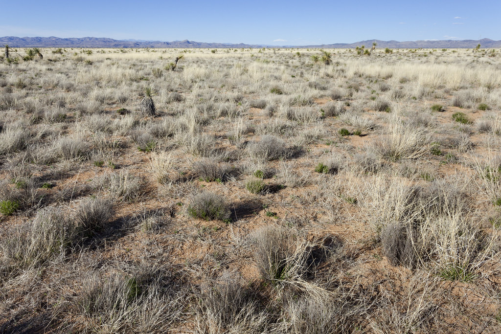 Lordsburg Mesa Lordsburg Mesa, on the east side of NM Hwy.… Flickr