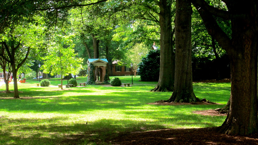 Davidson College 13 Davidson College, Class of 1993 20th… Flickr