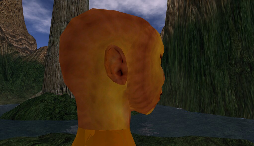 New Lion Skin X One last look at the other side of the hea… Flickr