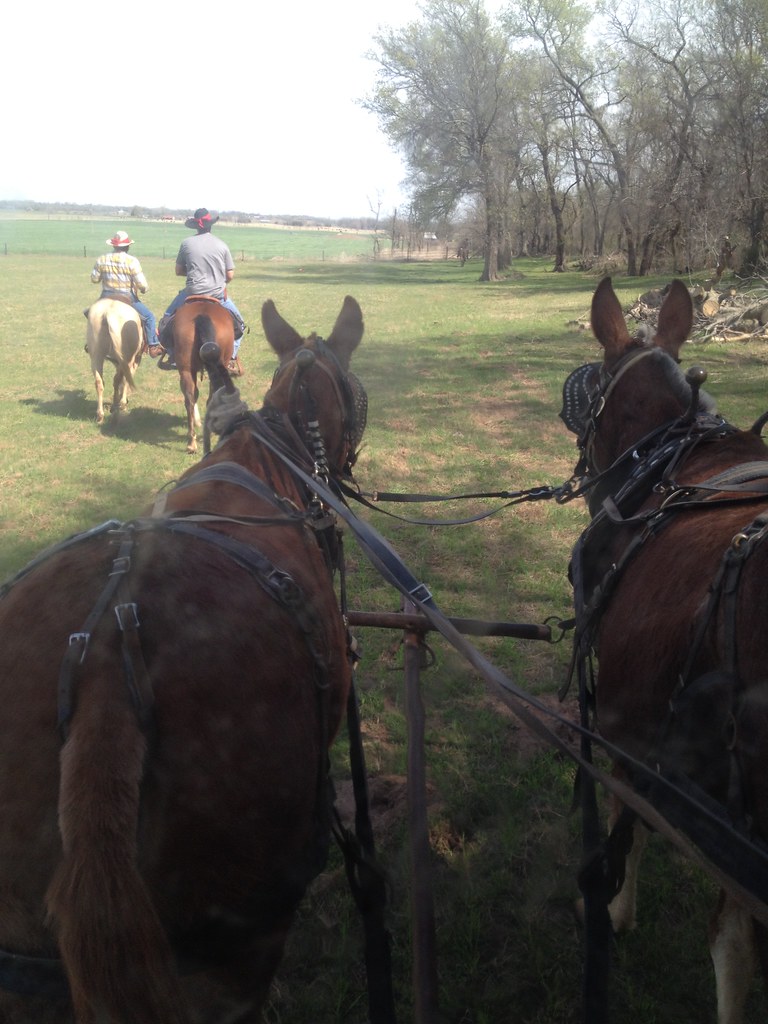 Wagon Trail People enjoyed a lovely wagon trail adventure Pioneer