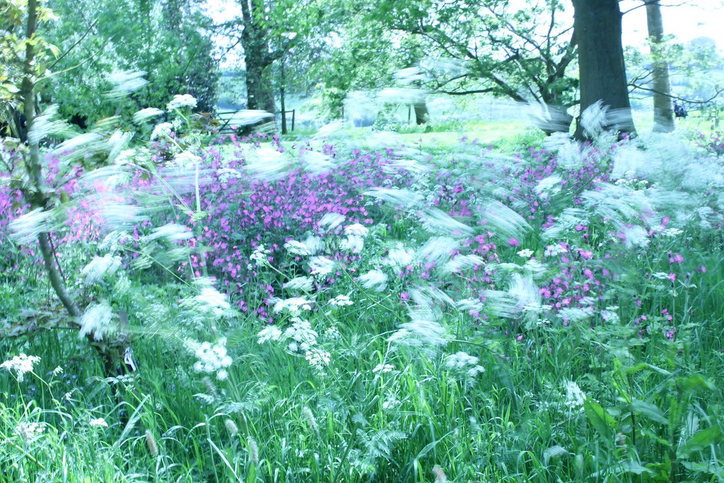 Cotswolds Didcote Manor jobs done Flickr