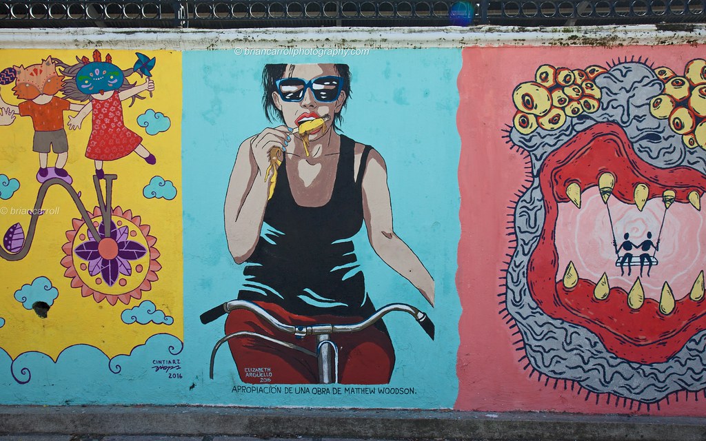 Wall Art, San Jose, Costa Rica Wall Art, san Jose, Costa R… Flickr