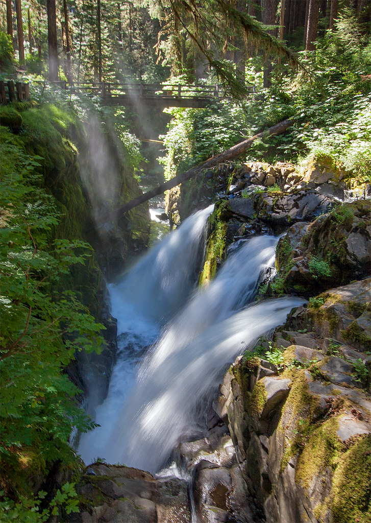 Olympic National Park, Washington Lover's Lane Trail, Sol … Flickr