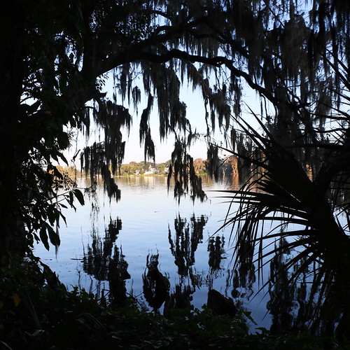 Lake Maitland View II SOOC. Kraft Azalea Garden, Winter Pa… Flickr