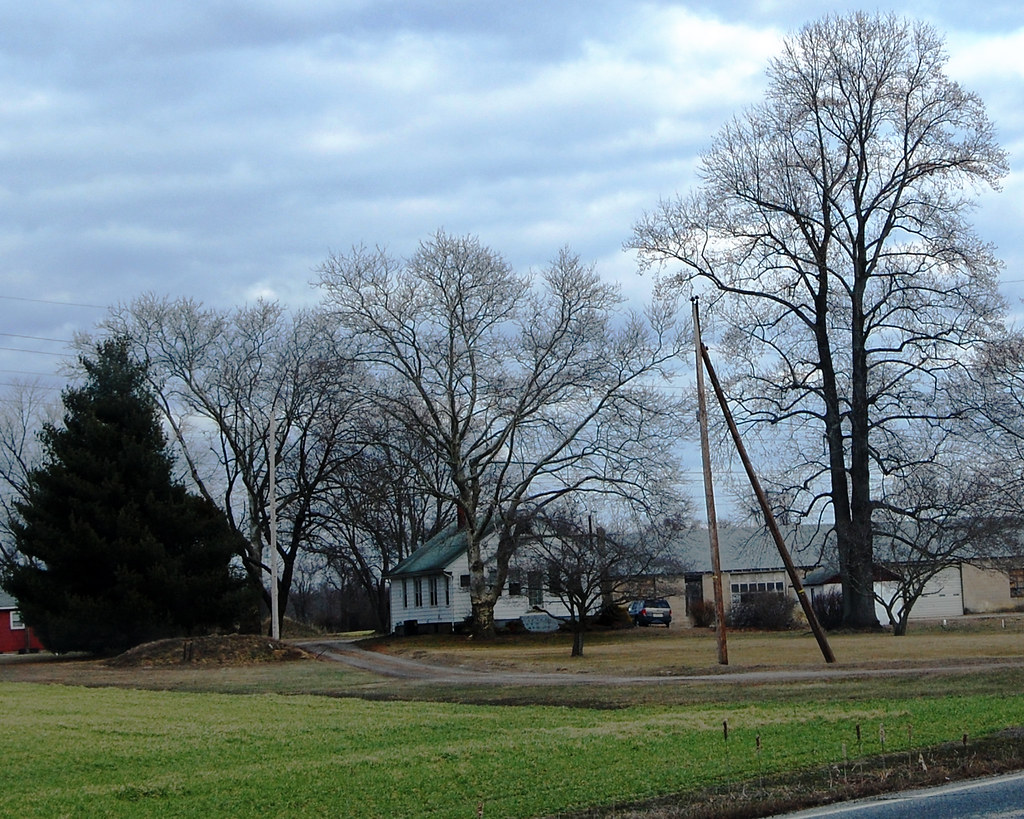 Jersey Farm fotophotow Flickr