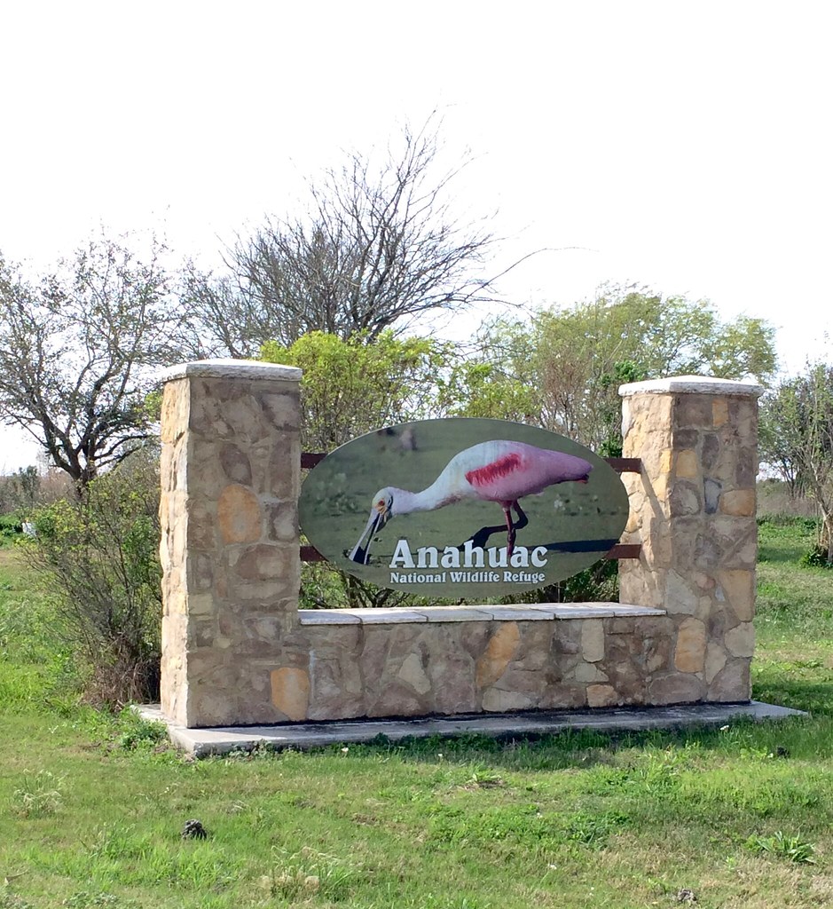 Anahuac NWR, Anahuac, Texas IMG_5500 Margo & Steve Flickr